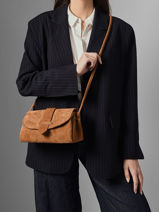 Shoulder Bag M Agnes Suede Leather Etrier Brown agnes EAGV205M-vue-porte